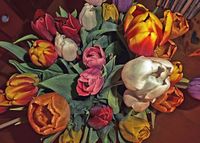 Tulpen-flämisch-56x40-cm